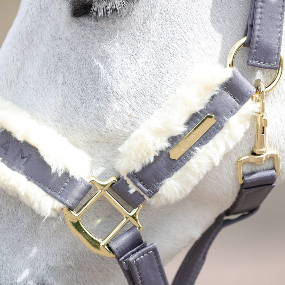 Coldstream Langlee Luxury Head Collar & Lead Rope - Nags Essentials