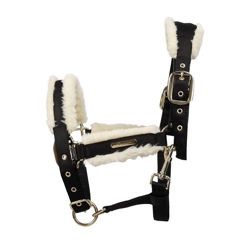Coldstream Langlee Luxury Head Collar & Lead Rope - Nags Essentials