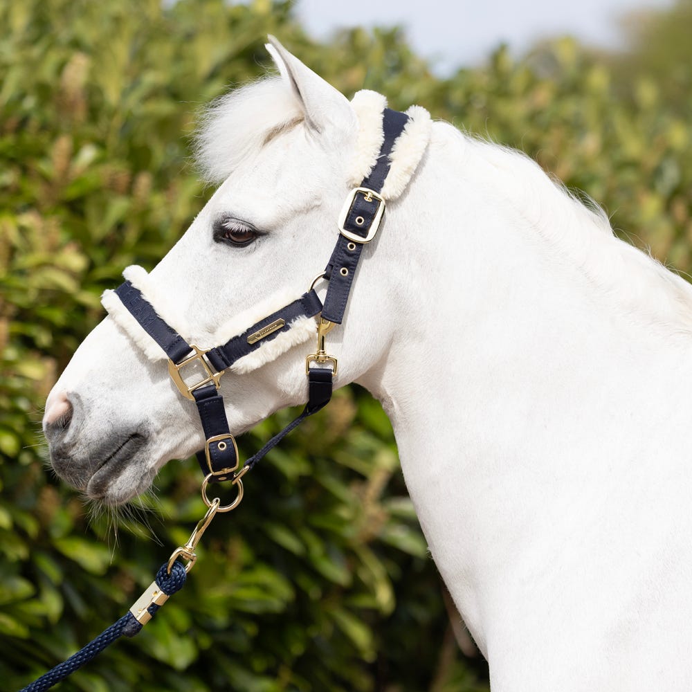 Coldstream Langlee Luxury Head Collar & Lead Rope - Nags Essentials