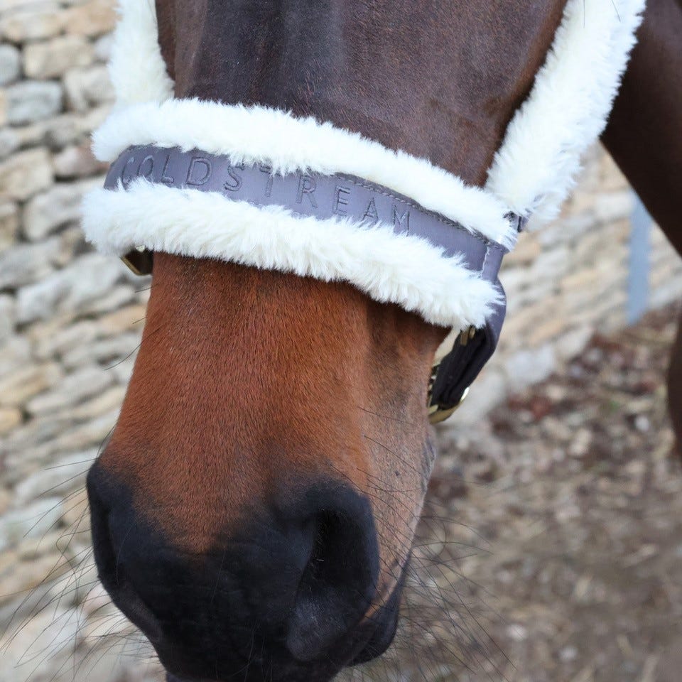 Coldstream Langlee Luxury Head Collar & Lead Rope - Nags Essentials