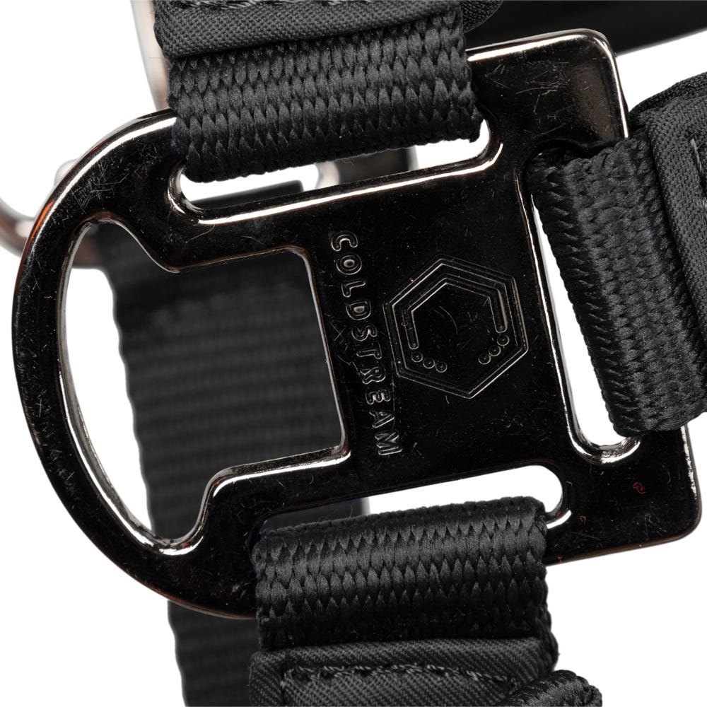 Coldstream Paxton Padded Head Collar & Lead Rope - Nags Essentials