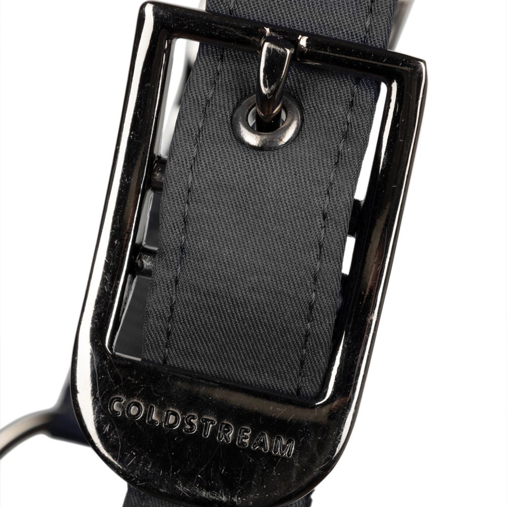Coldstream Paxton Padded Head Collar & Lead Rope - Nags Essentials