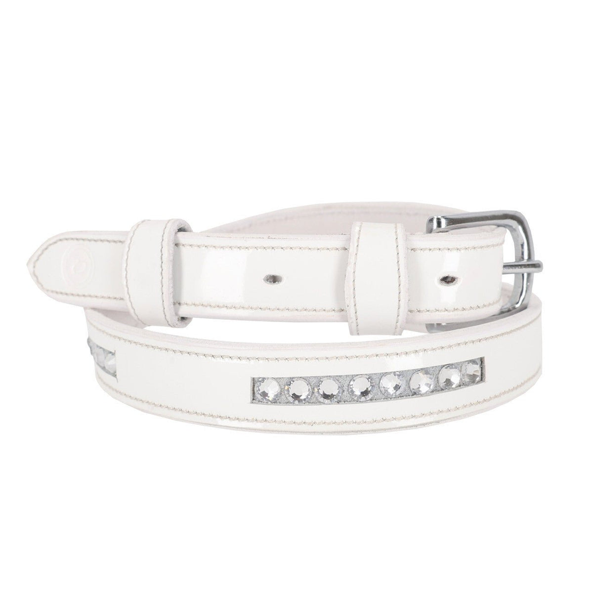 Competition Belt Vaila - Nags Essentials