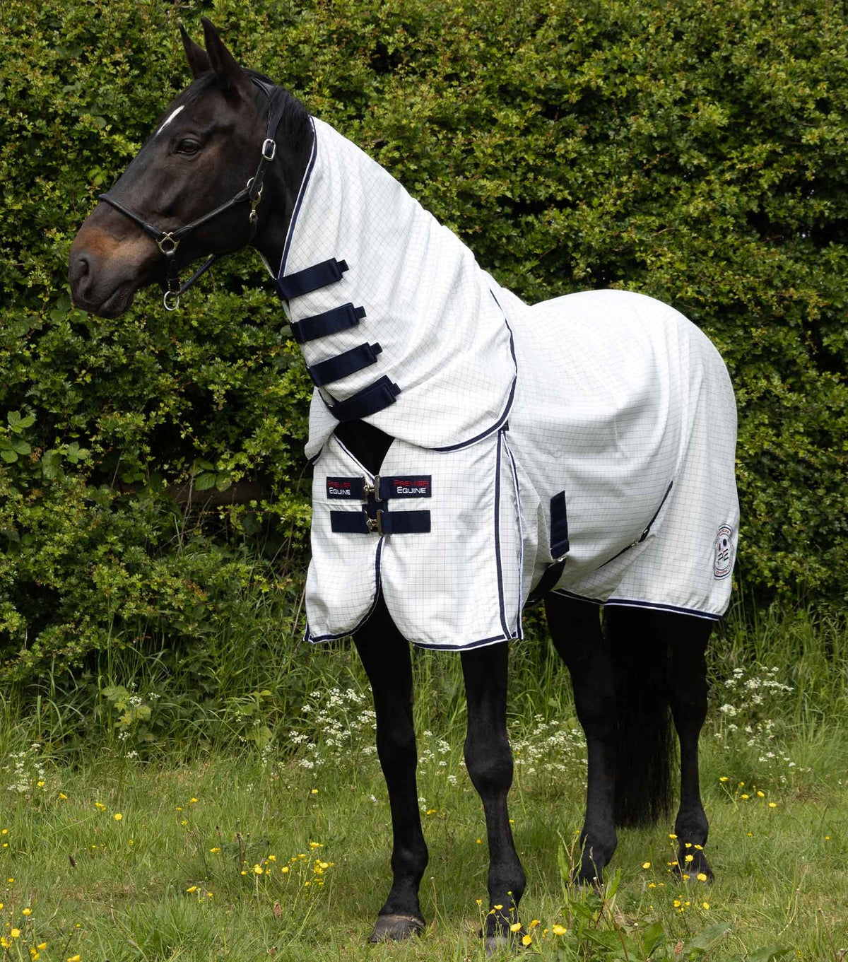 Premier Equine Cotone Combo Stable Sheet - White-Navy Check