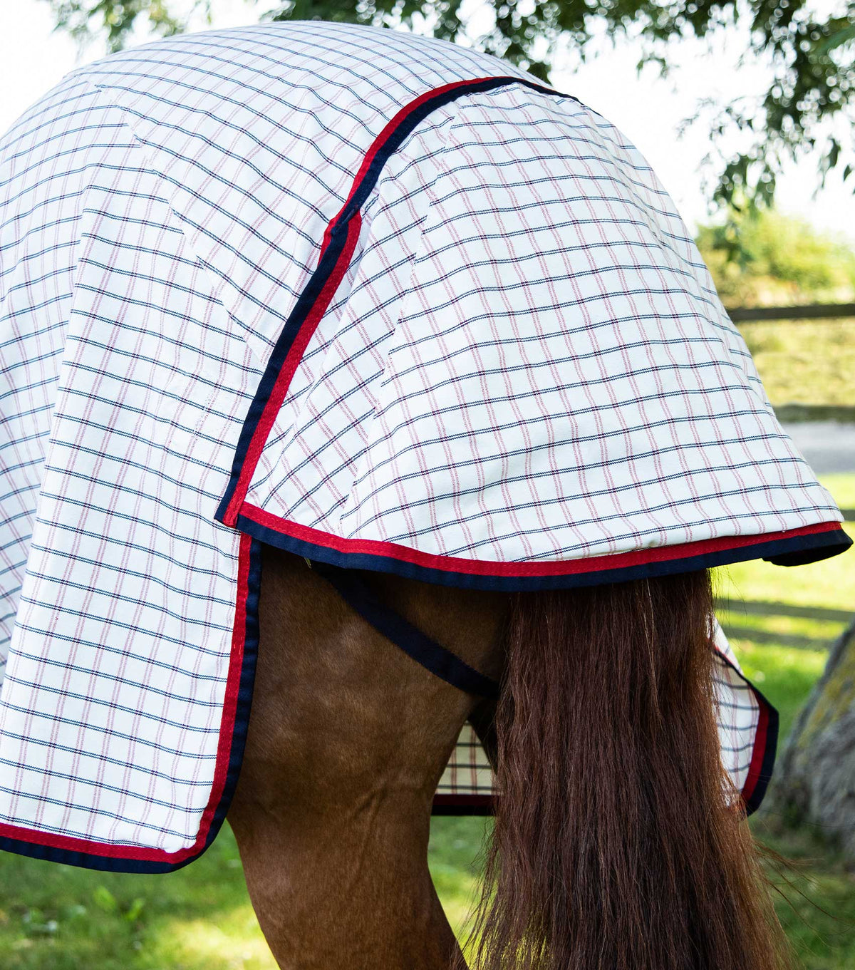 Premiere equine Cotton Sheet Red Check