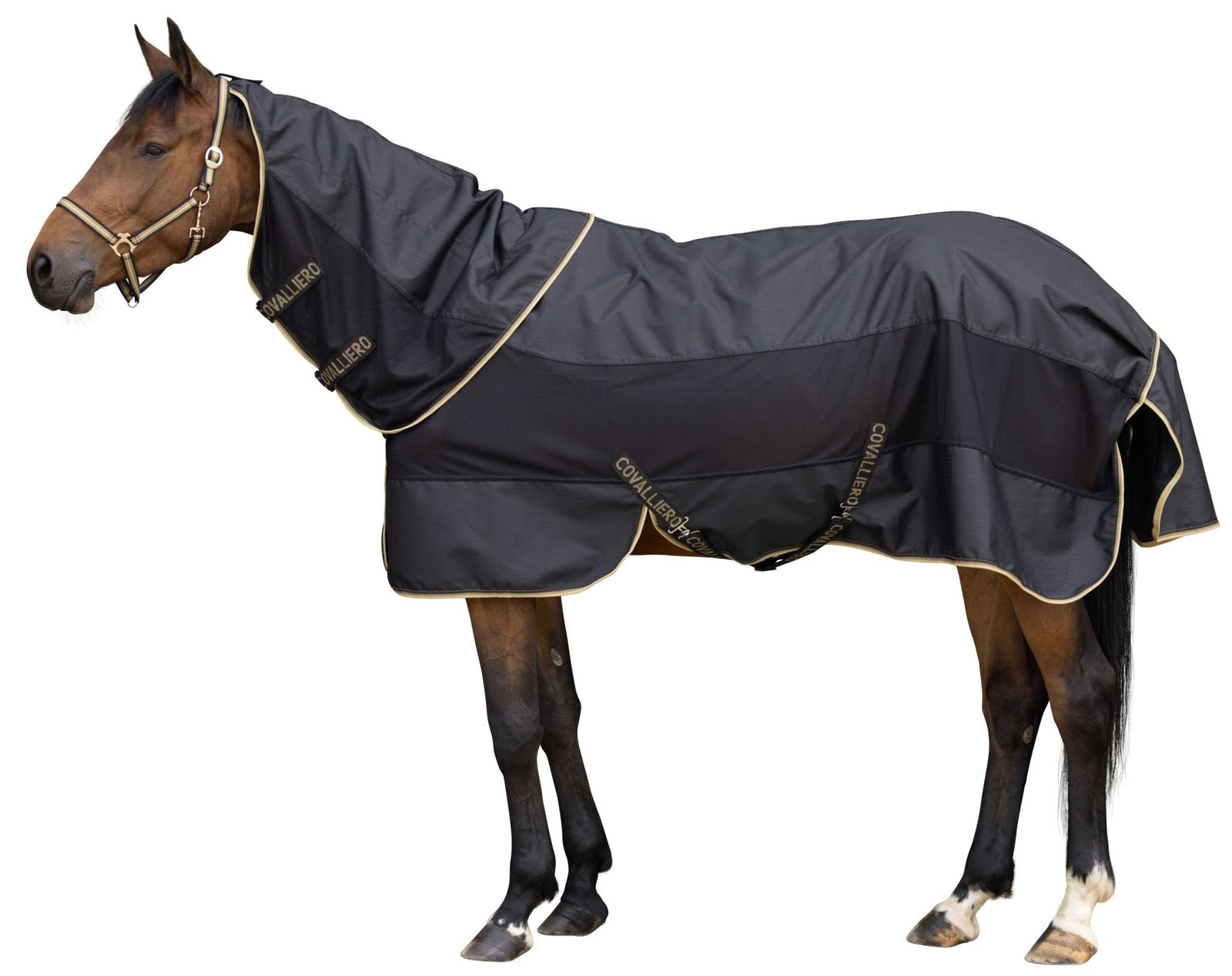 Covalliero Rain Fly Rug SS26 - Nags Essentials