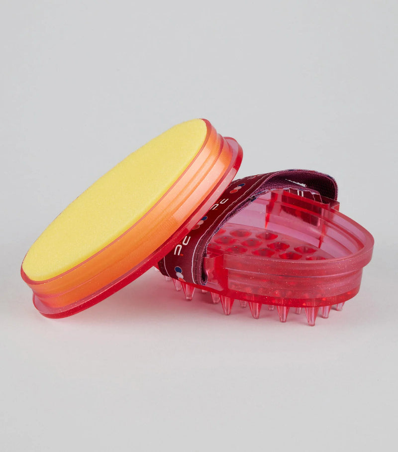 Curry Comb with Integrated Sponge