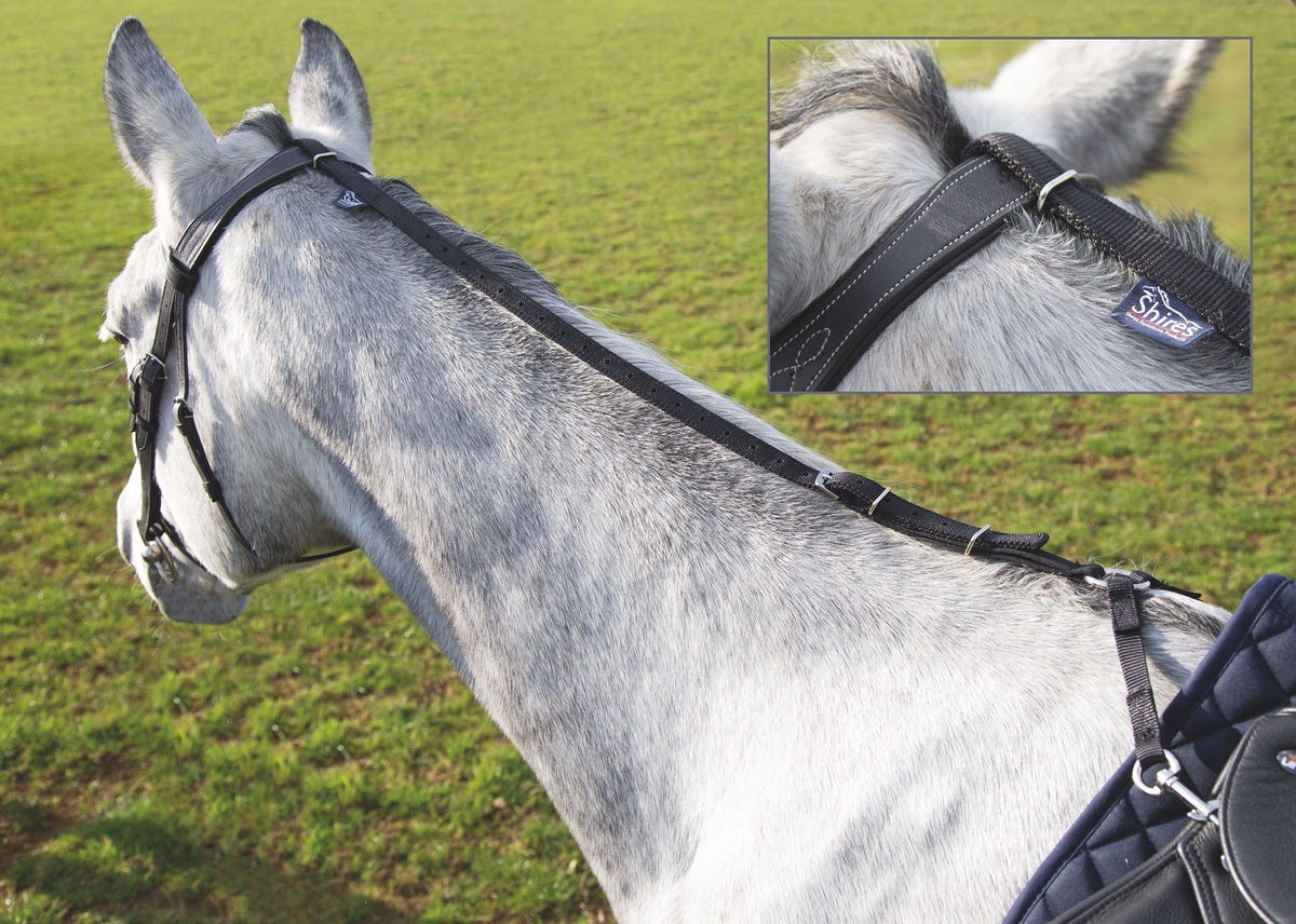 Daisy Rein - Black - Nags Essentials