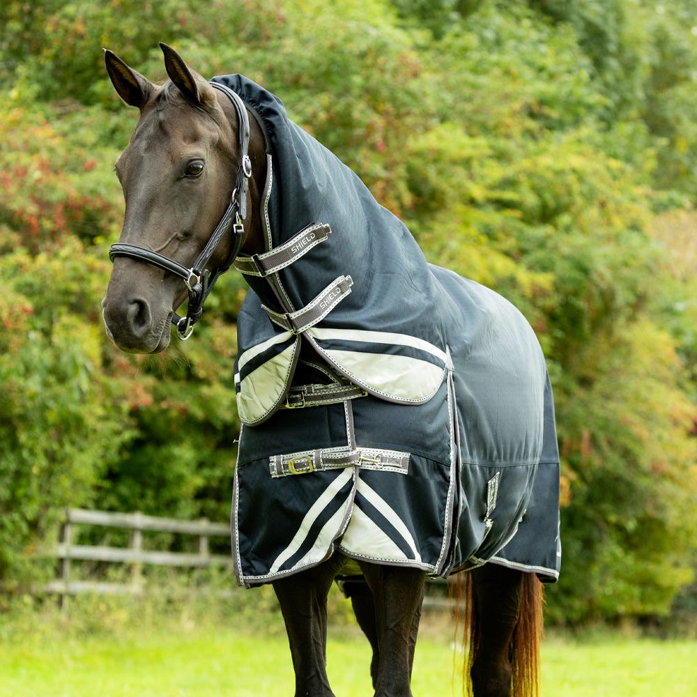 DefenceX Shield 200g Turnout Rug with Detachable Neck - Nags Essentials