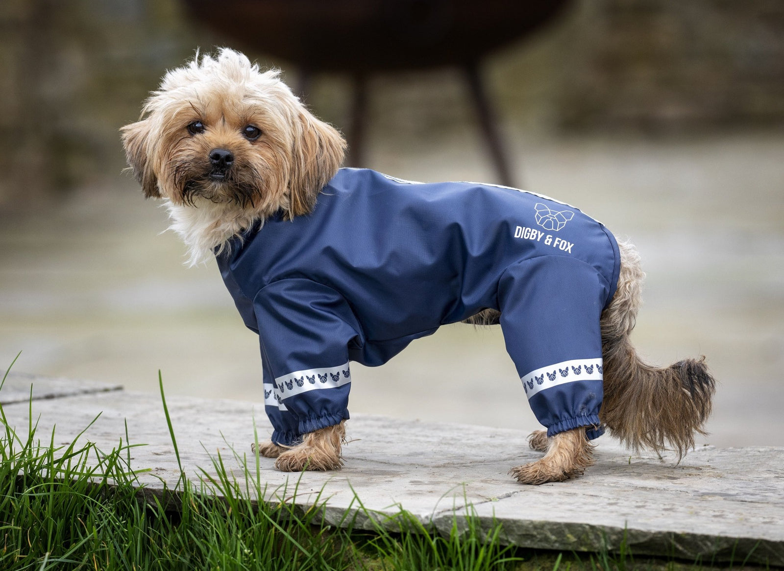 Digby & Fox Cover-All Dog Coat - Nags Essentials