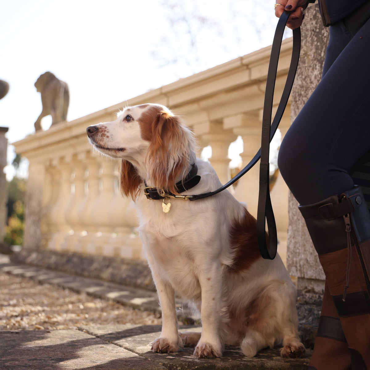 Digby & Fox Flat Leather Dog Lead - Nags Essentials