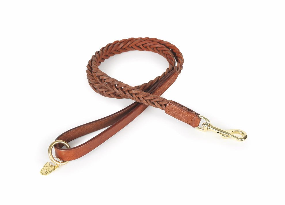 Digby & Fox Plaited Dog Lead - Nags Essentials