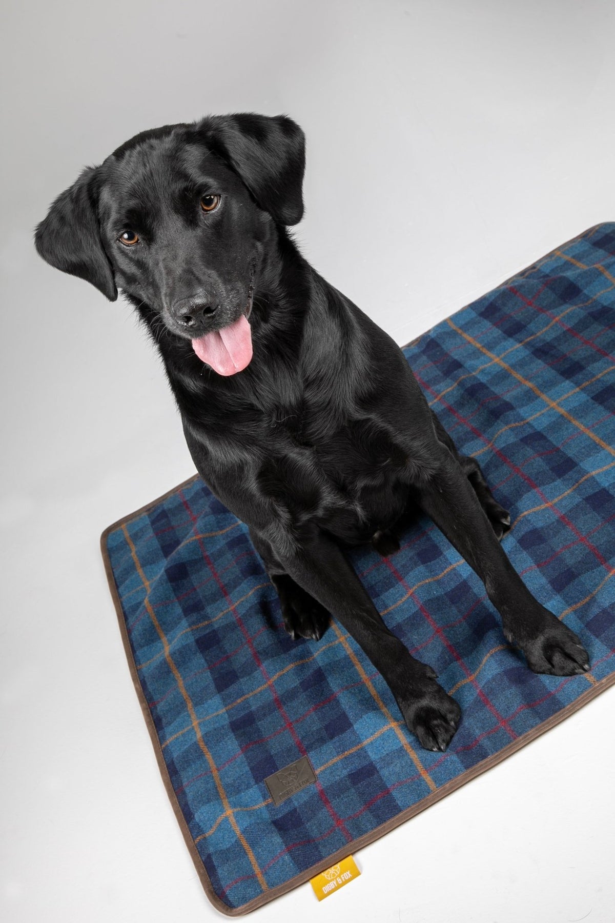 Digby &amp; Fox Tweed Blanket - Nags Essentials