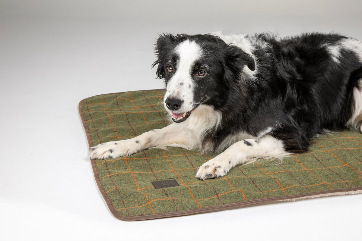 Digby & Fox Tweed Blanket - Nags Essentials