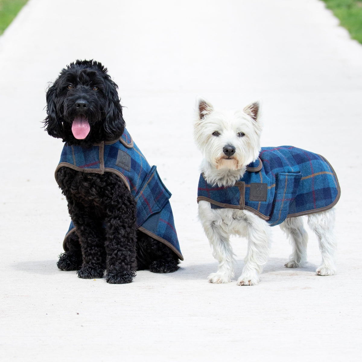 Digby & Fox Tweed Dog Coat - Nags Essentials