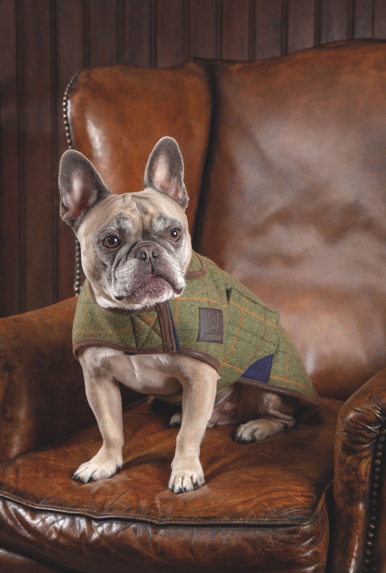 Digby & Fox Tweed Dog Coat - Nags Essentials