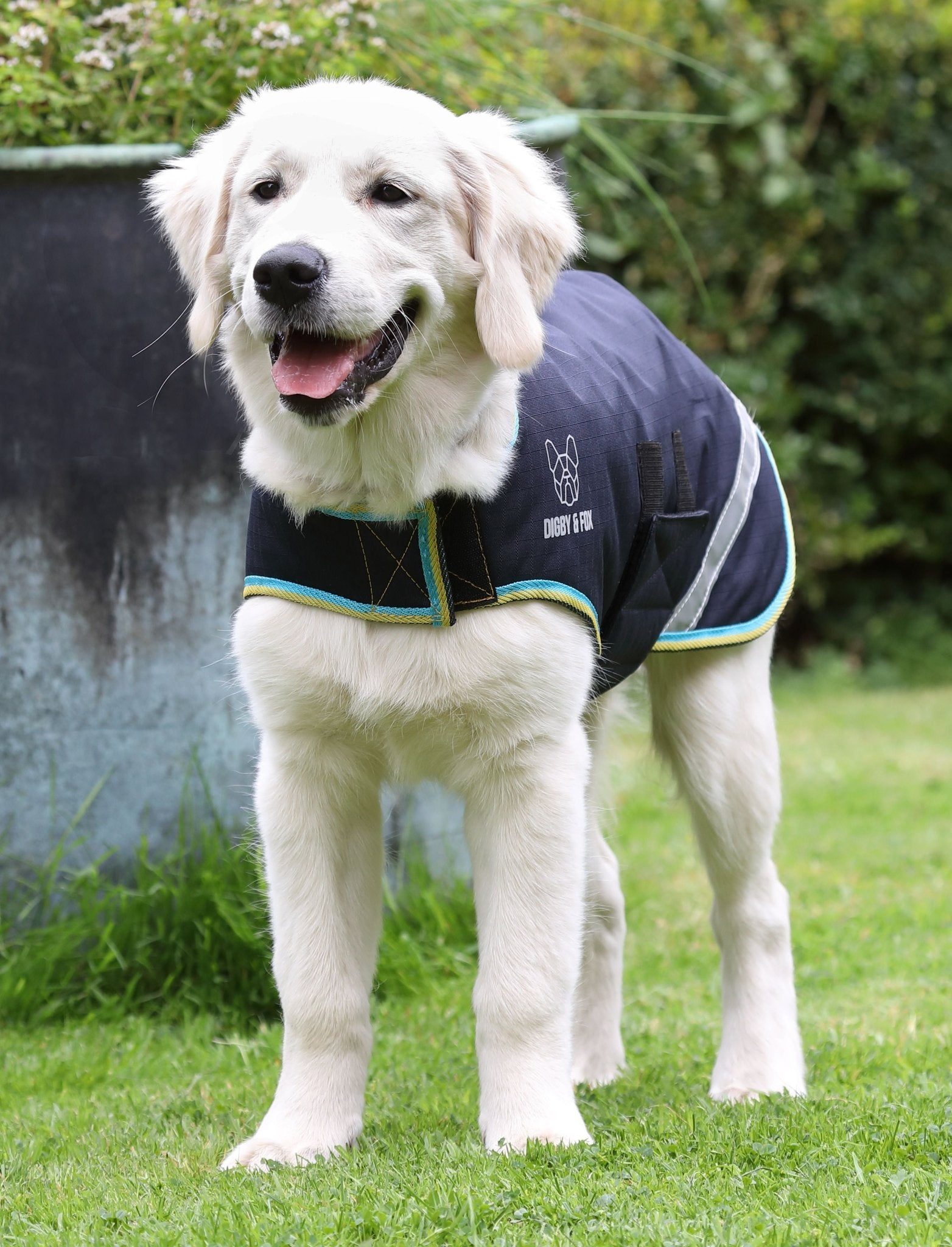 Digby & Fox Waterproof Dog Coat - Nags Essentials