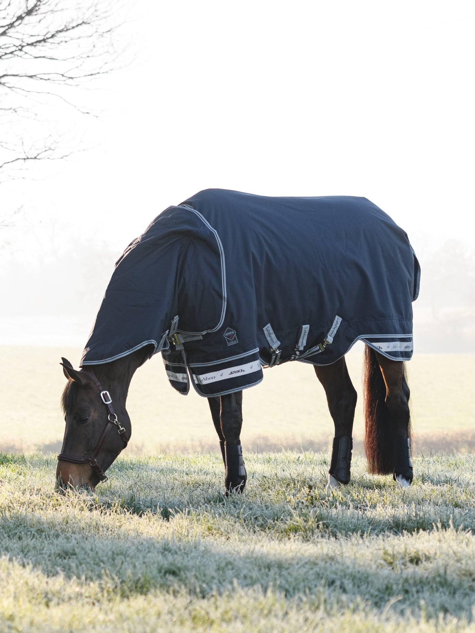 LeMieux Arika Storm-Tek Rug 100g - Navy