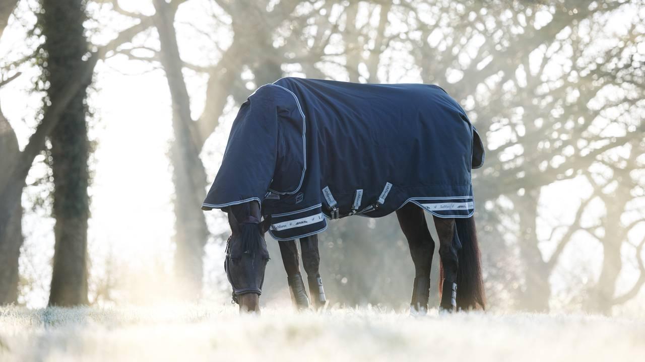 LeMieux Arika Storm-Tek Rug 200g - Navy