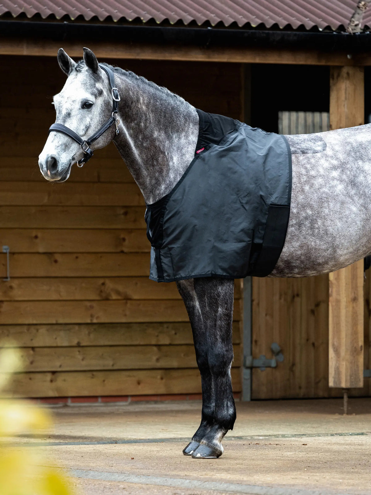 LeMieux Anti Rub Bib - Black
