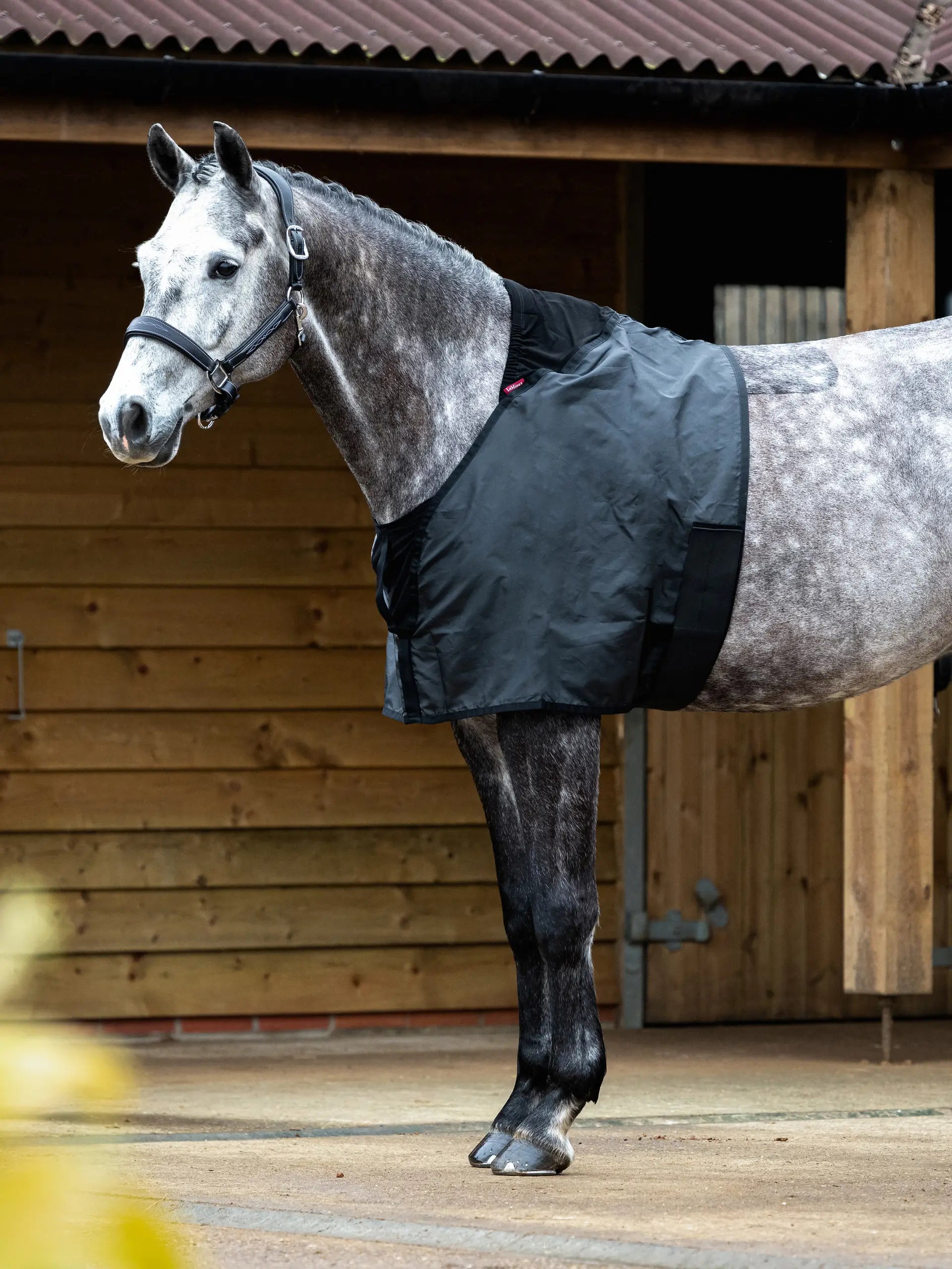 LeMieux Anti Rub Bib - Black