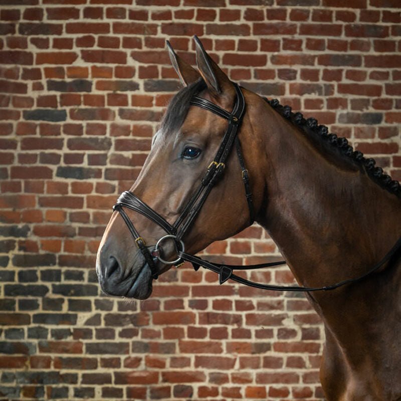 Dyon Collection Anatomic Flash Noseband Bridle - Nags Essentials