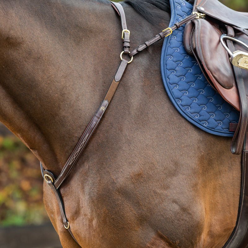 Dyon Collection Fancy Breastplate With Bridge - Nags Essentials