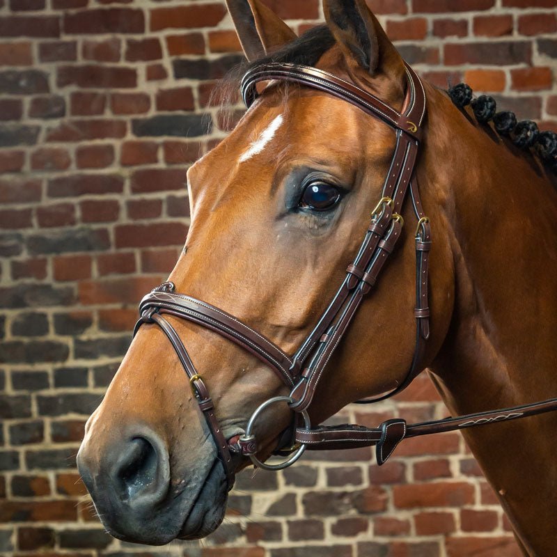 Dyon Collection Flash Noseband Bridle - Nags Essentials