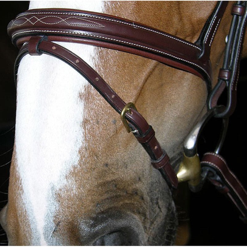 Dyon Collection Flash Noseband Bridle - Nags Essentials