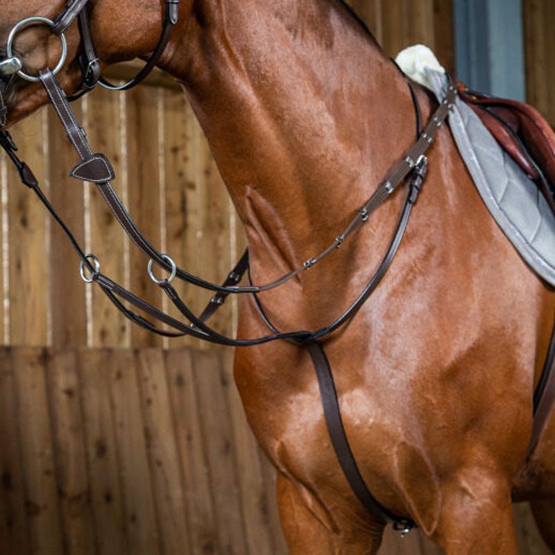Dyon Collection Running Martingale - Nags Essentials