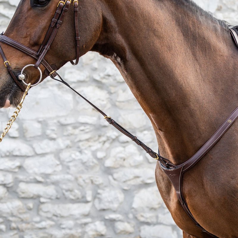 Dyon Collection Standing Martingale Attachment - Nags Essentials
