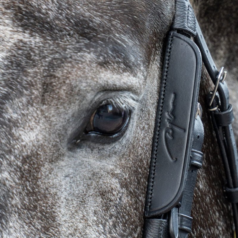 Dyon Leather Horse Blinkers - Nags Essentials