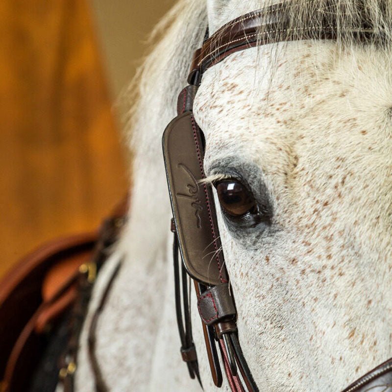 Dyon Leather Horse Blinkers - Nags Essentials