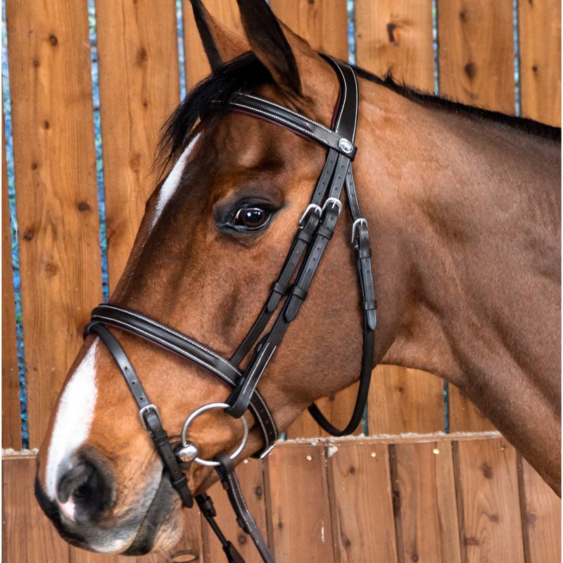 Dyon Working Collection Classic Flash Noseband Bridle - Nags Essentials