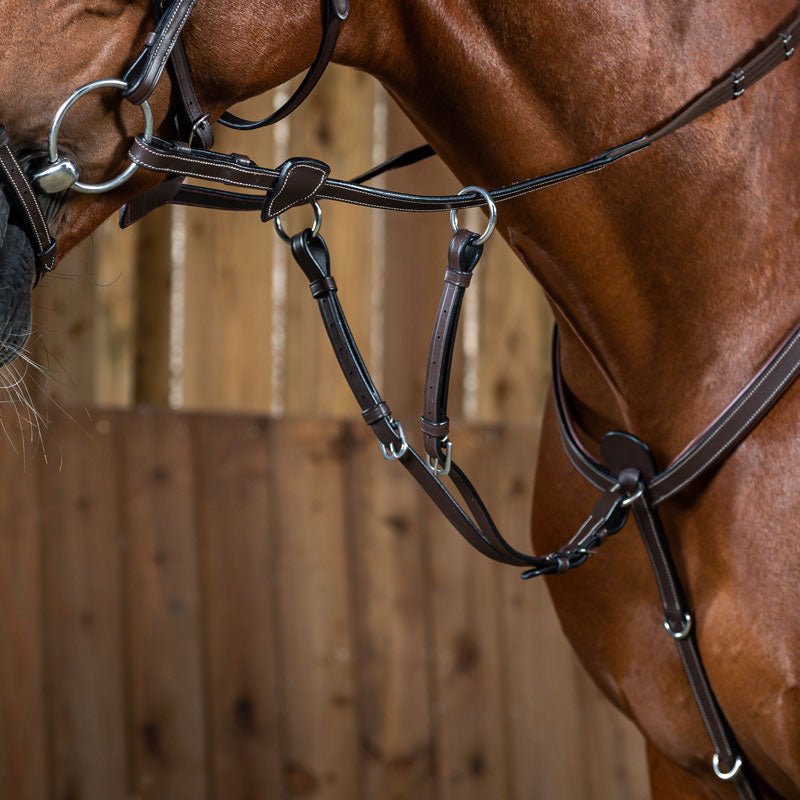 Dyon Working Collection Running Martingale Attachment - Nags Essentials