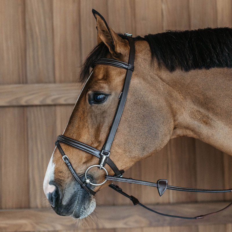 Dyon Working Collection Training Bridle - Nags Essentials