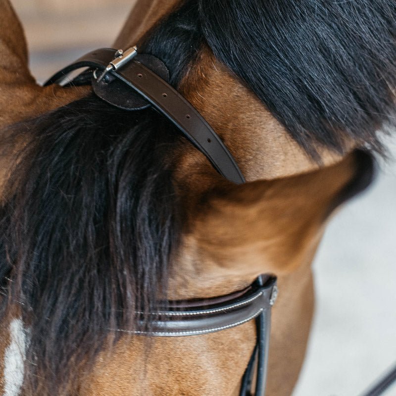 Dyon Working Collection Training Bridle - Nags Essentials