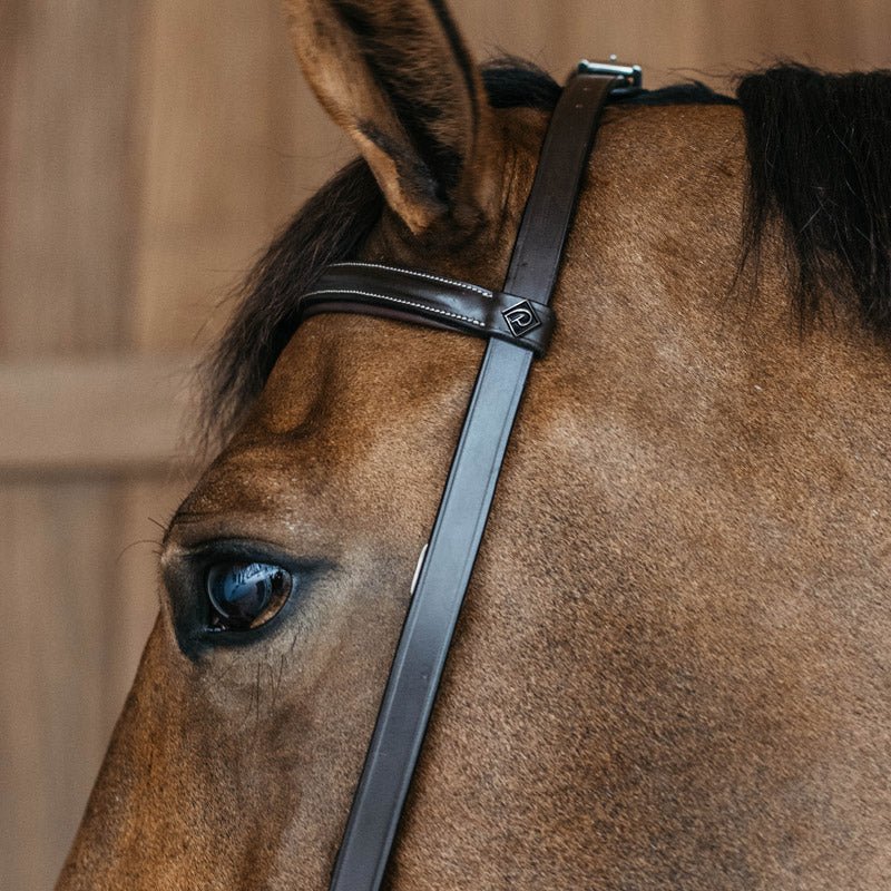Dyon Working Collection Training Bridle - Nags Essentials