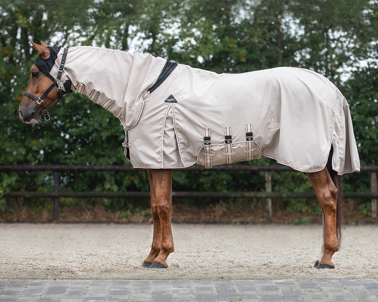 Eczema Rug Hoodie - Nags Essentials