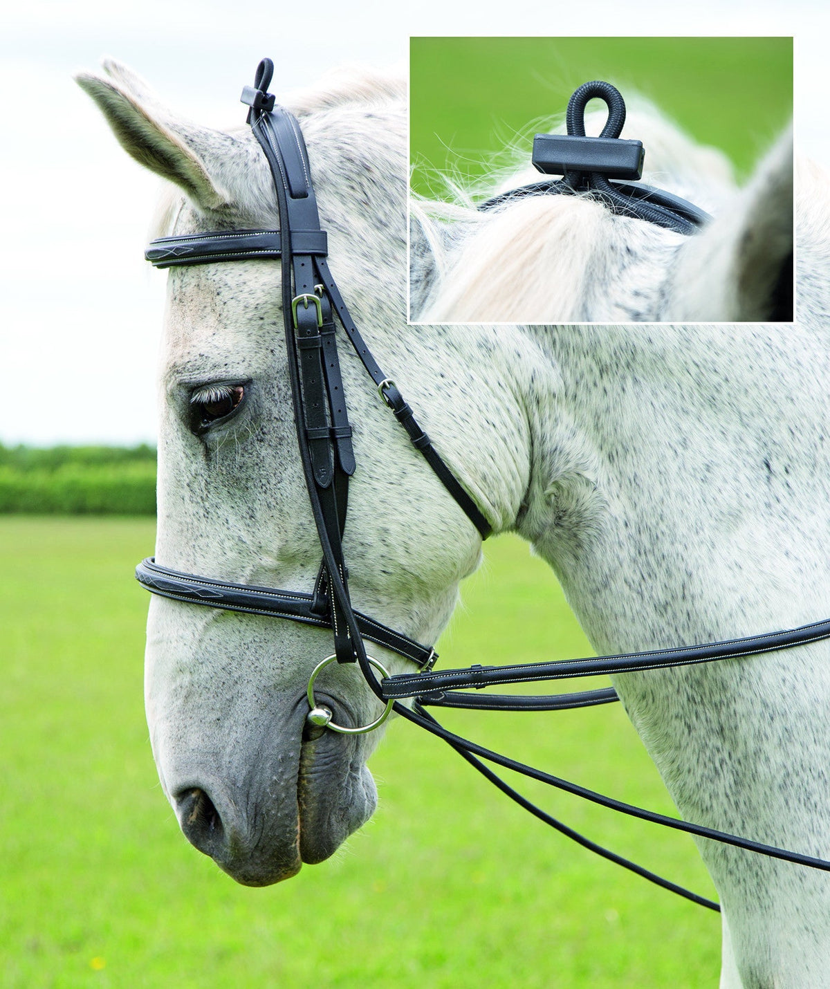Elastic Training Reins - Black - Nags Essentials
