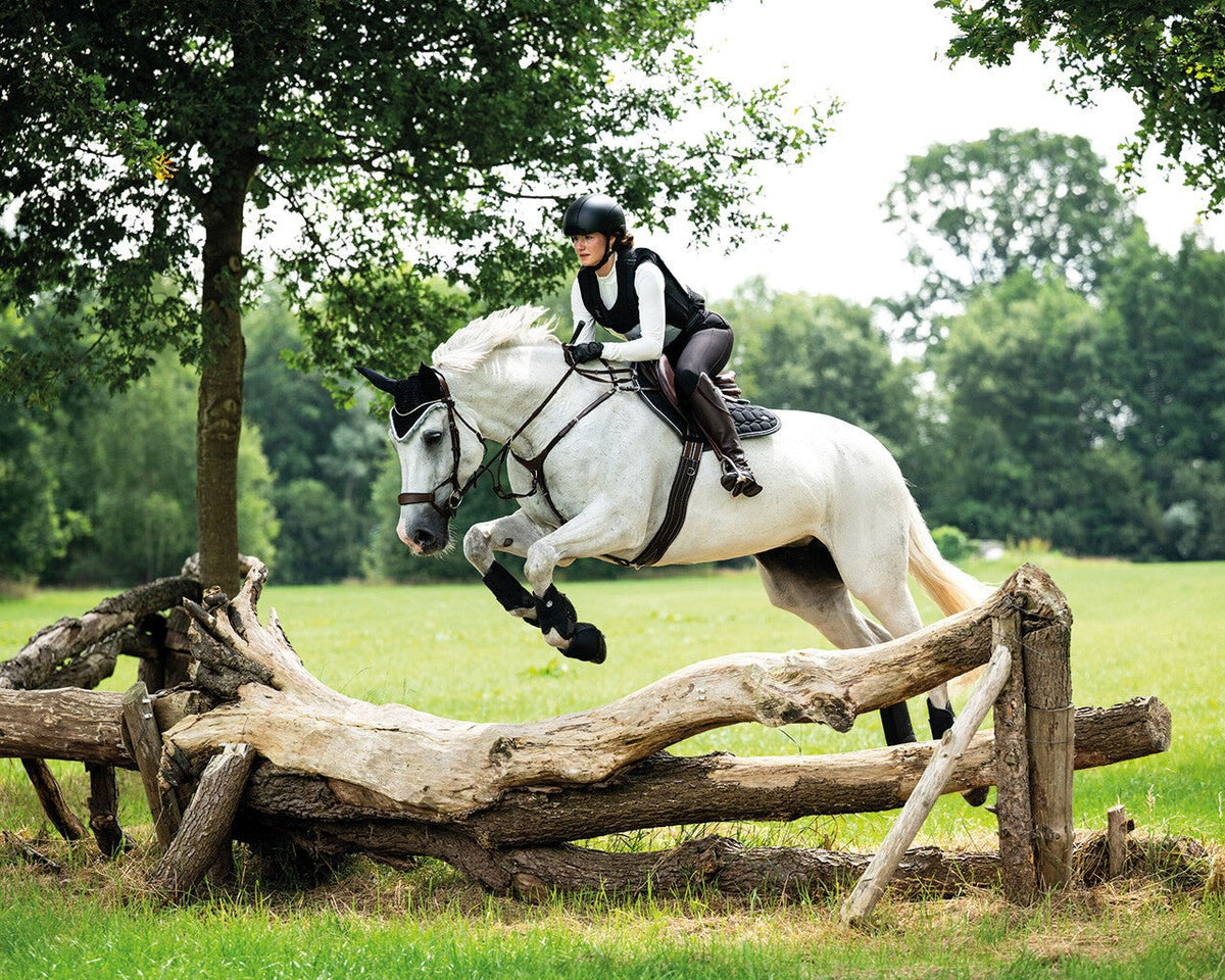 Eldorado Saddlepad - Nags Essentials