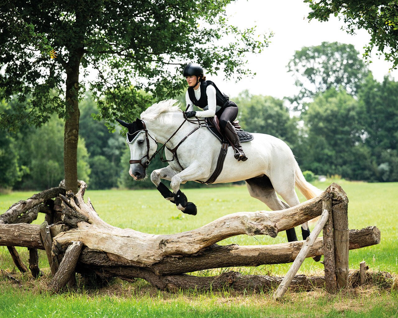 Eldorado Saddlepad - Nags Essentials