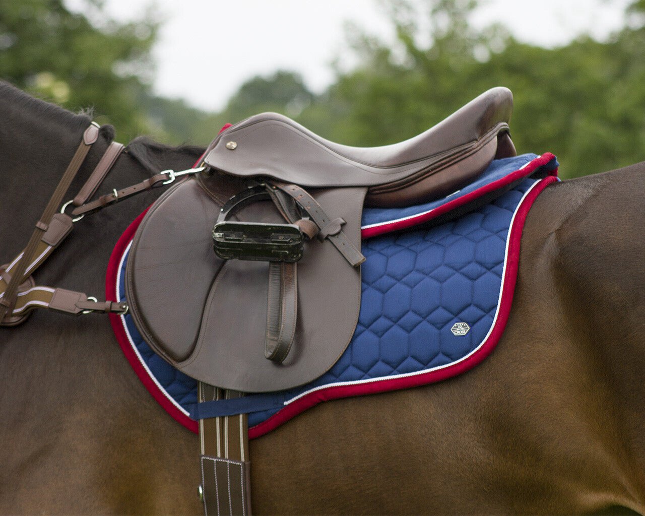 Eldorado Saddlepad - Nags Essentials
