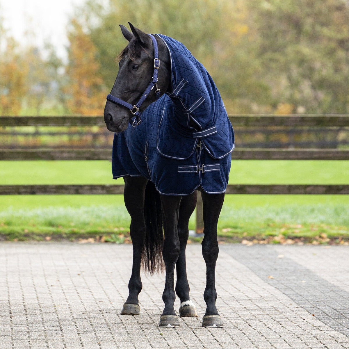 Embossed Fleece Rug With Detachable Neck - Nags Essentials