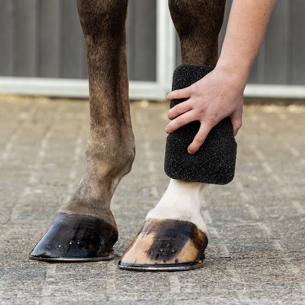 Equi super shiner - Nags Essentials