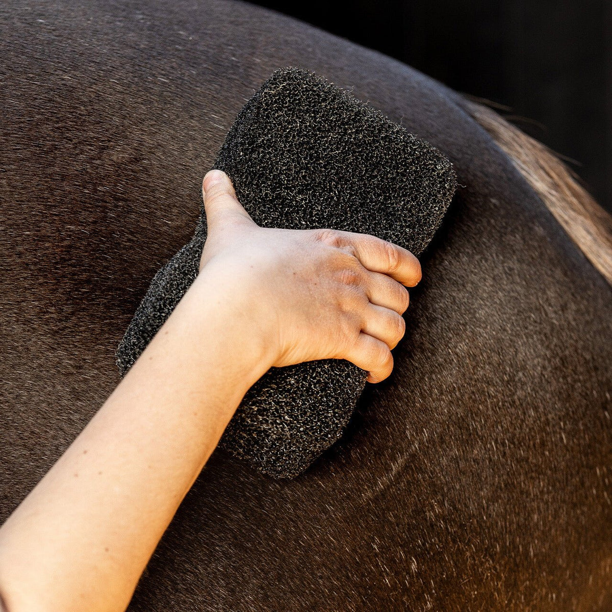 Equi super shiner - Nags Essentials
