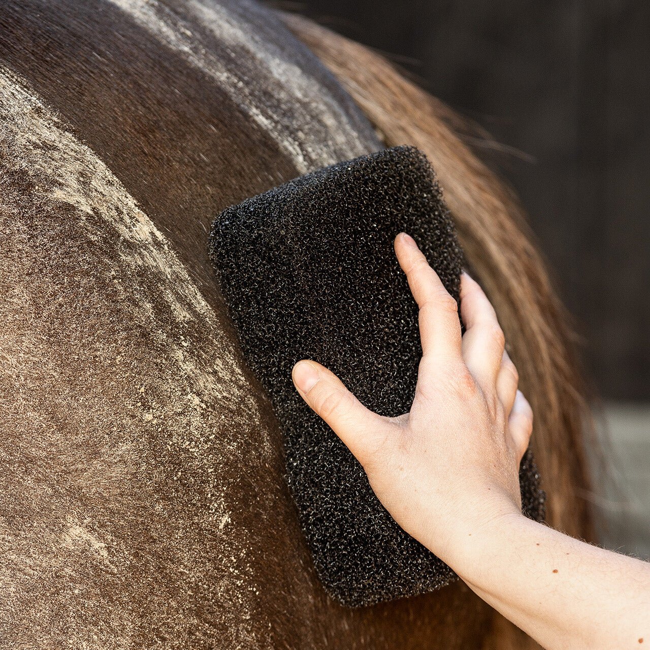 Equi super shiner - Nags Essentials