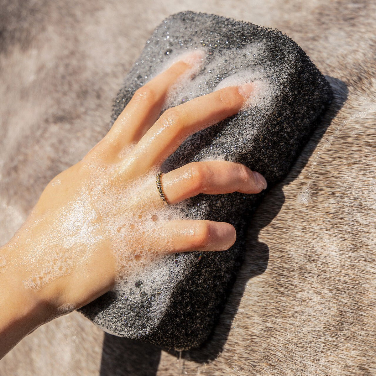 Equi super shiner - Nags Essentials