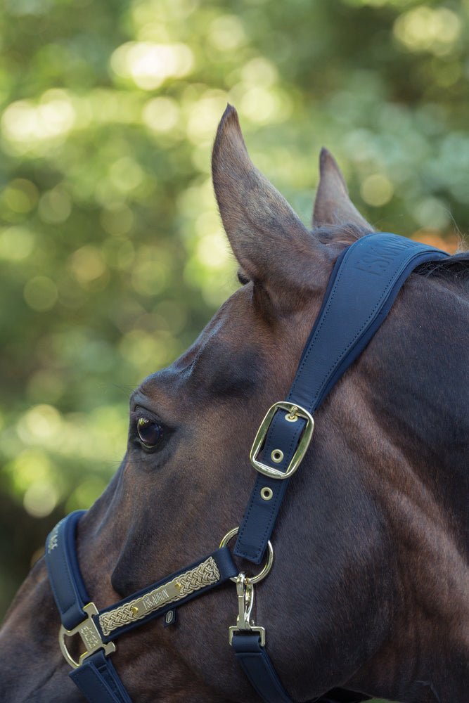 Eskadron Heritage Faux Leather Double Pin Headcollar