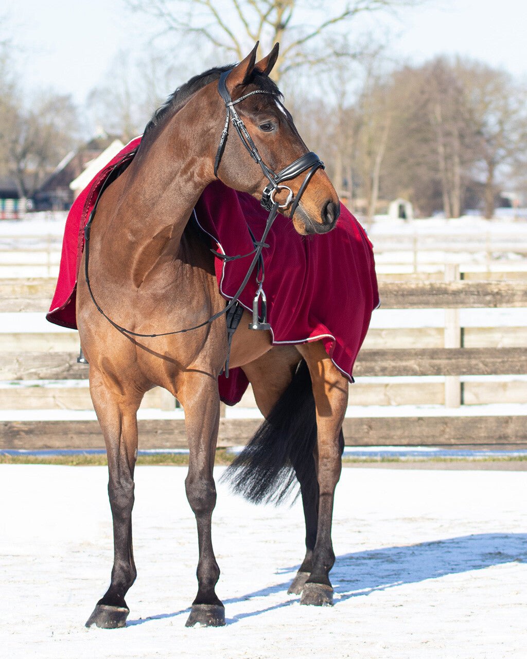 Exercise Fleece Rug - Nags Essentials